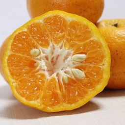 優(yōu)質(zhì)農(nóng)產(chǎn)品助力精準(zhǔn)扶貧 新鮮當(dāng)季水果與蔬菜，脆甜可口全國包郵